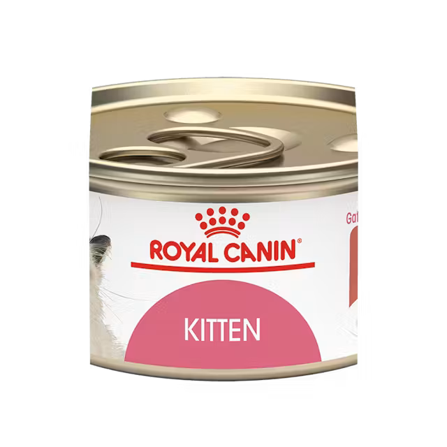 LATA KITTEN INSTINCTIVE 85G- 60435