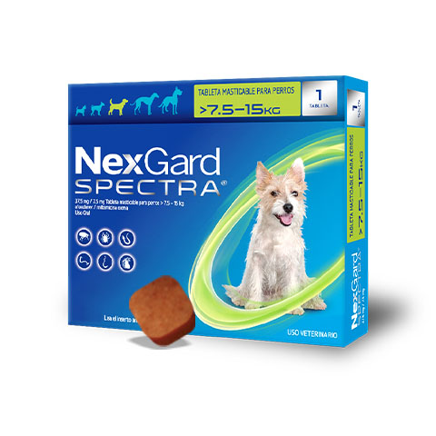 NEXGARD SPECTRA M 7.6-15 KG 1 TAB