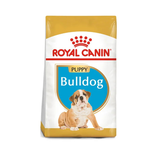 BULLDOG PUPPY 2.73 KG